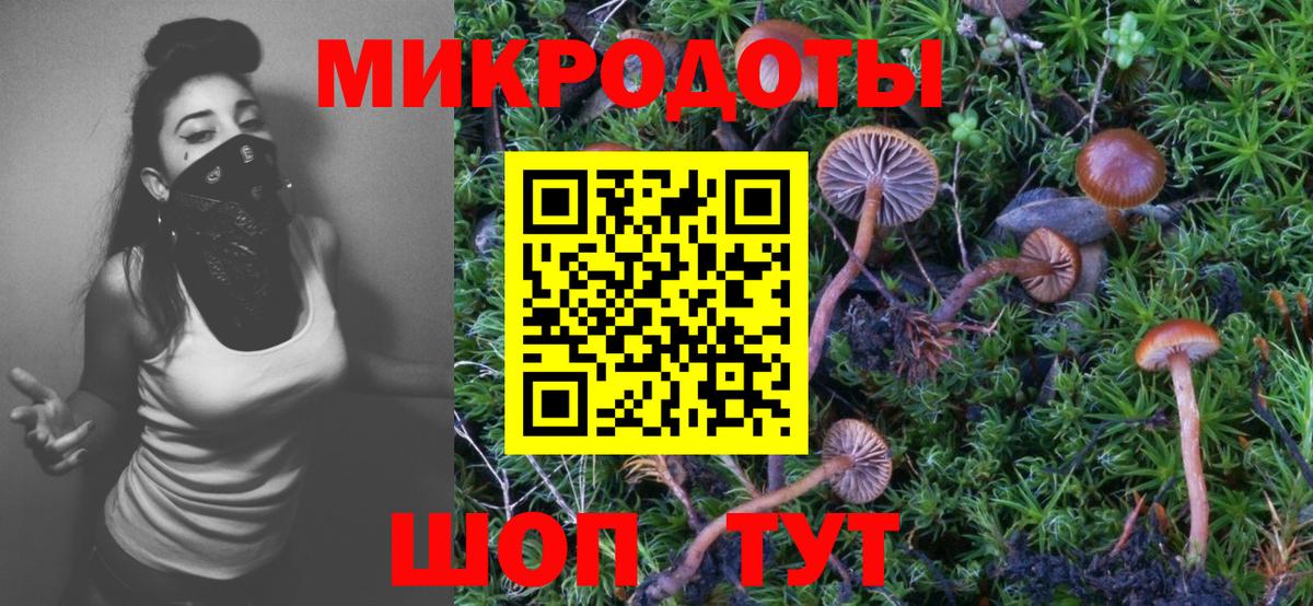 Псилоцибиновые грибы мицелий Скопин