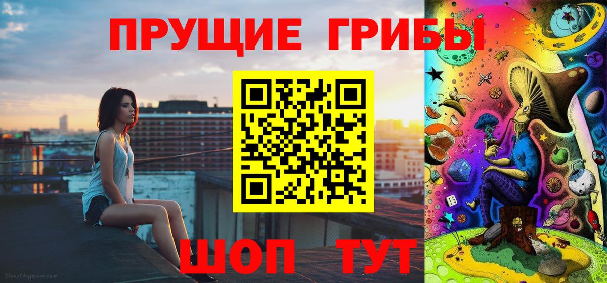 Галлюциногенные грибы прущие грибы  Вход с VPN  Скопин 